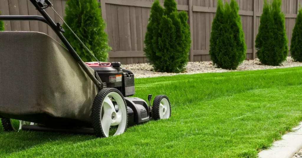 Lawn Mowing Services